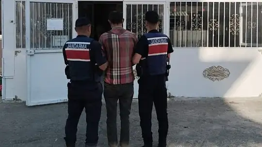 Fıstık hırsızlığına jandarmadan suçüstü: 3 tutuklama