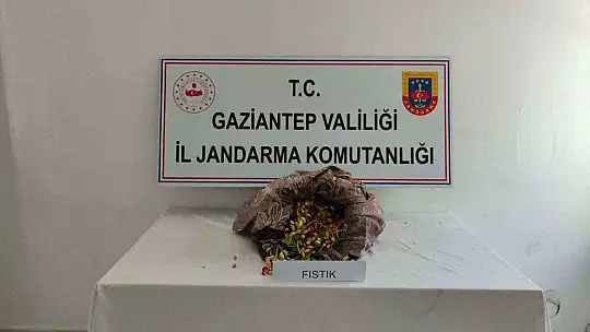 Fıstık hırsızlığına jandarmadan suçüstü: 3 tutuklama
