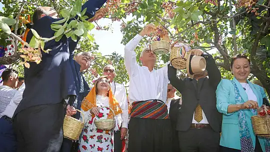 Gastroantep festivali, antepfıstığı hasadı ve şire yapımıyla başladı