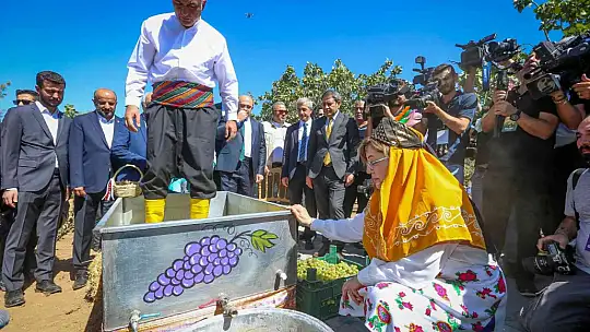 Gastroantep festivali, antepfıstığı hasadı ve şire yapımıyla başladı