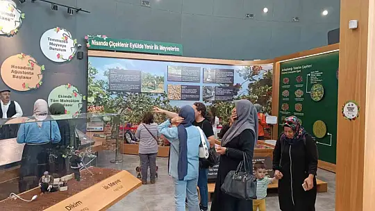 GastroANTEP Festivali'nde müzelere ziyaretçi akını