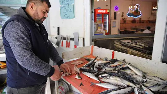 Gastronomi kenti Gaziantep'te balık, kebabın gölgesinde kaldı