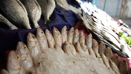 Gastronomi kenti Gaziantep'te balık, kebabın gölgesinde kaldı
