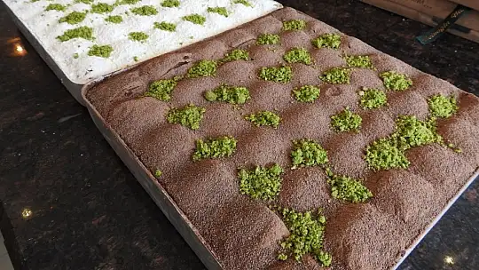 Gastronomi kentinde düşük kalorili lezzet: Soğuk baklava