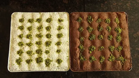 Gastronomi kentinde düşük kalorili lezzet: Soğuk baklava