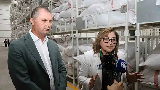 Gaziantep Büyükşehir boz kavlak fıstığın alımına başladı