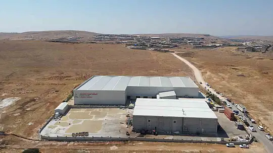 Gaziantep Büyükşehir boz kavlak fıstığın alımına başladı