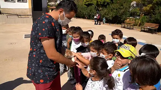 Gaziantep Büyükşehir, miniklere hayvan sevgisi aşılamak için düğmeye bastı
