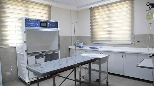 Gaziantep Büyükşehir, sokak hayvanlarına sahip çıkıyor