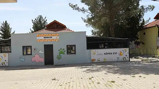Gaziantep Büyükşehir, sokak hayvanlarına sahip çıkıyor