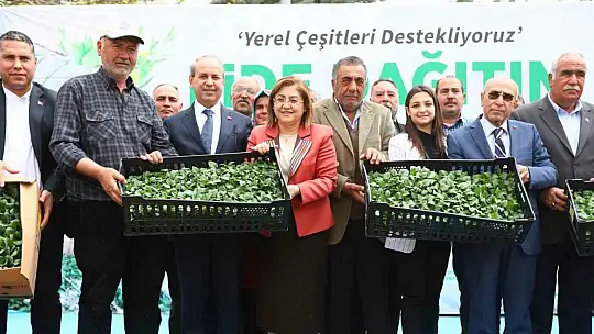 Gaziantep Büyükşehir, tarımsal üretime desteğini sürdürüyor