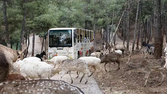 Gaziantep Doğal yaşam Parkı 9 günde 225 bin ziyaretçiyi ağırladı
