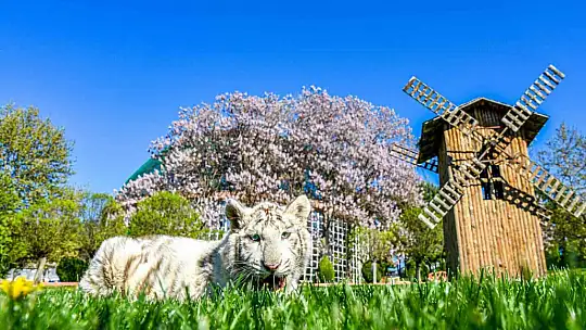 Gaziantep Doğal yaşam Parkı 9 günde 225 bin ziyaretçiyi ağırladı