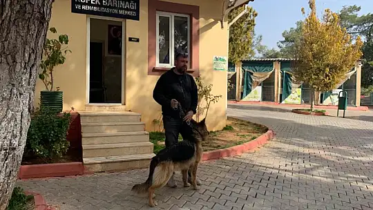 Gaziantep hayvan barınağı depremzede hayvanları sahipleniyor
