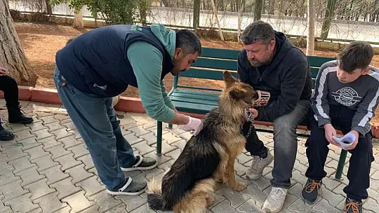 Gaziantep hayvan barınağı depremzede hayvanları sahipleniyor