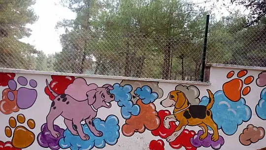 Gaziantep'in sokaklarına estetik dokunuş