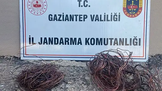 Gaziantep Jandarmadan hırsızlara geçit yok