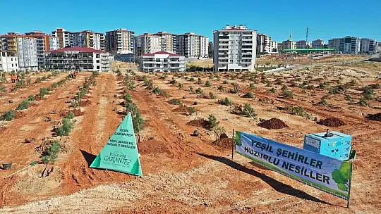 Gaziantep'te 3 bin 83 büyük ağaç dikildi