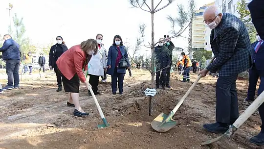 Gaziantep'te 3 bin 83 büyük ağaç dikildi
