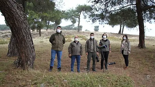 Gaziantep ormanlarındaki kızıl geyik sayısı araştırılıyor