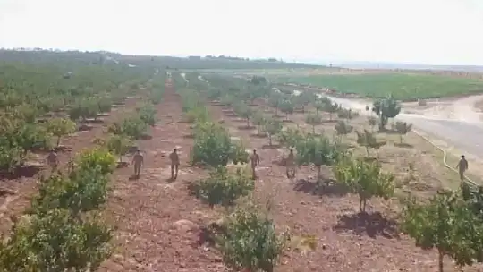 Gaziantep'te 'yeşil altın' denetimlerinde 108 tutuklama