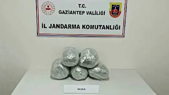 Gaziantep'te 1 kilo eroin, 7 kilo skunk ile 1 ton kaçak tütün ele geçirildi