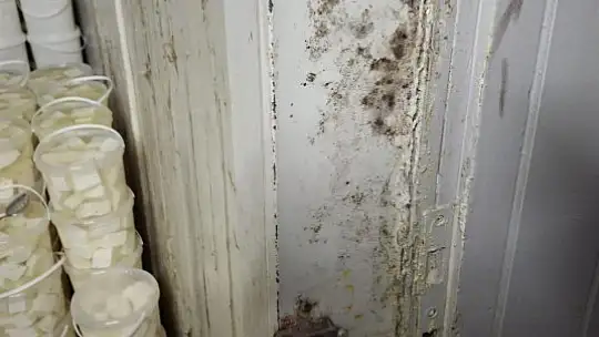 Gaziantep'te 1 ton 112 kilogram kaçak peynir ele geçirildi
