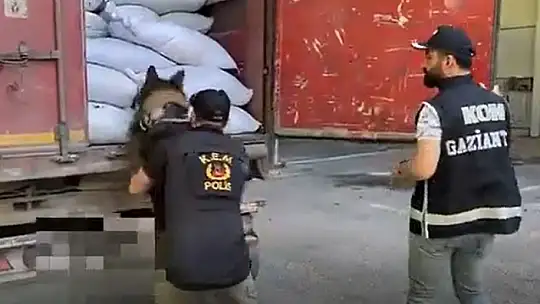 Gaziantep'te 10 bin 400 paket kaçak sigara ele geçirildi