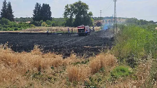 Gaziantep'te 10 dönüm buğday tarlası küle döndü
