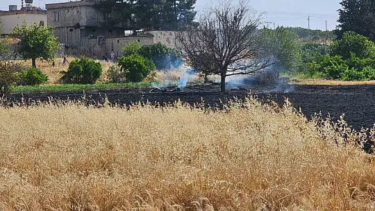 Gaziantep'te 10 dönüm buğday tarlası küle döndü