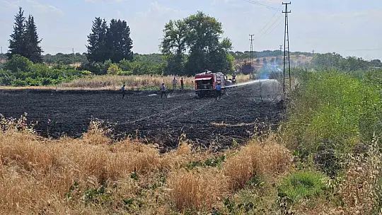 Gaziantep'te 10 dönüm buğday tarlası küle döndü