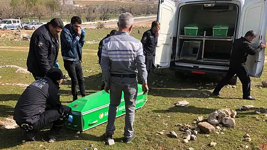 Gaziantep'te 25 yaşındaki genç ağaca asılı halde bulundu