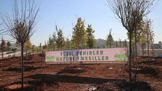 Gaziantep'te 27 milyon fidan hedefi için ağaç dikim başladı