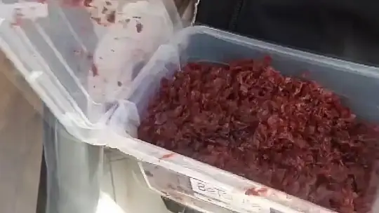 Gaziantep'te 28 kilo kaçak nargile tütünü ele geçirildi: 2 gözaltı
