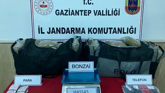 Gaziantep'te 33 kilo bonzai ele geçirildi