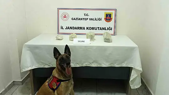 Gaziantep'te 500 kilo kaçak tütün ele geçirildi