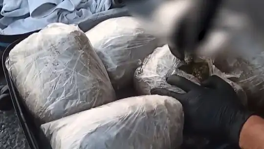 Gaziantep'te 6 kilo skunk ele geçirildi