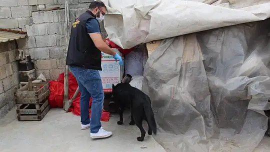 Gaziantep'te 950 polisle 'Narko-Asayiş Operasyonu' başlatıldı