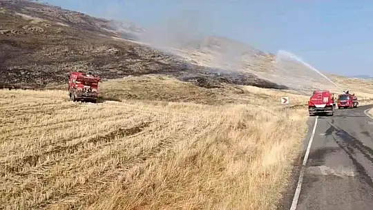 Gaziantep'te anız yangını ormanlık alana zarar verdi