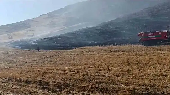 Gaziantep'te anız yangını ormanlık alana zarar verdi