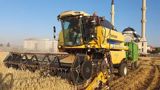 Gaziantep'te arpa ve buğday hasadı başladı
