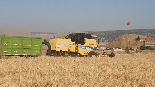 Gaziantep'te arpa ve buğday hasadı başladı