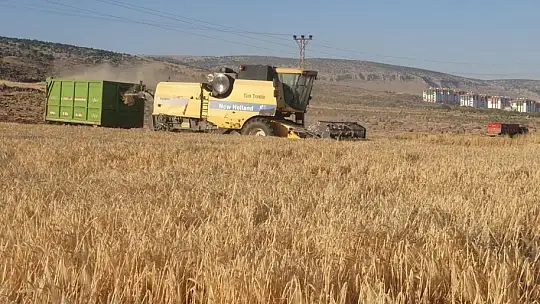 Gaziantep'te arpa ve buğday hasadı başladı