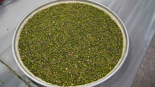 Gaziantep'te baklavacıların bayram yoğunluğu başladı