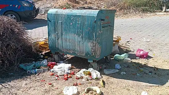 Gaziantep'te bir haftalık bebek çöpte ölü bulundu