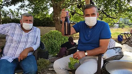 Gaziantep'te bir ilk 'koruk ekşisi'