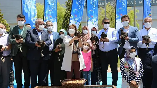 Gaziantep'te, bölgeye uyumlu 70 bin tavuk dağıtıldı