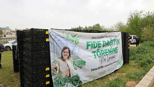 Gaziantep'te çiftçilere 2 milyon adet fide desteği