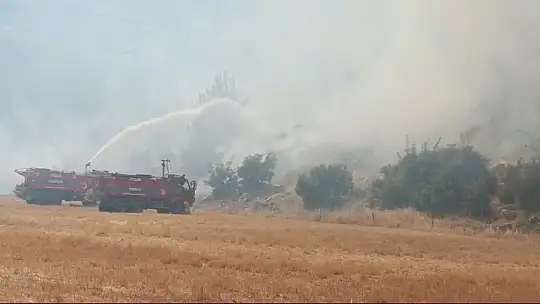 Gaziantep'te çıkan yangında 30 dönüm ormanlık alan zarar gördü