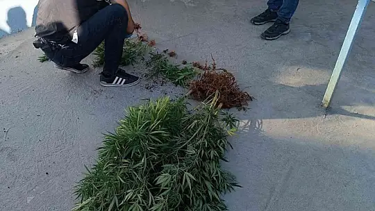 Gaziantep'te dev uyuşturucu operasyonu: 20 gözaltı